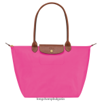 бонбони Жени оригинална чанта le pliage чанти Longchamp 6084PZ420