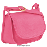 бонбони Жени чанта за кръст le foulonne чанти Longchamp 6084PZ266 - Image 3