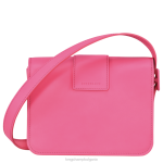 бонбони Жени чанта за кръстосано тяло box-trot чанти Longchamp 6084PZ240 - Image 4