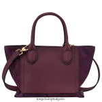 бордо Жени чанта за пощенска кутия чанти Longchamp 6084PZ159 - Image 4