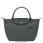 графит Жени le pliage зелена чанта чанти Longchamp 6084PZ189