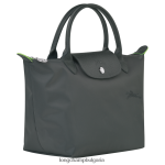 графит Жени le pliage зелена чанта чанти Longchamp 6084PZ189 - Image 3