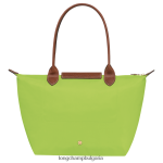 зелена светлина Жени оригинална чанта le pliage чанти Longchamp 6084PZ422 - Image 3