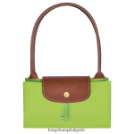 зелена светлина Жени оригинална чанта le pliage чанти Longchamp 6084PZ422 - Image 5