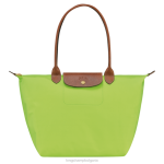 зелена светлина Жени оригинална чанта le pliage чанти Longchamp 6084PZ415