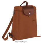 коняк Жени le pliage зелена раница чанти Longchamp 6084PZ436 - Image 2
