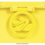 лимон Жени чанта за кръстосано тяло box-trot чанти Longchamp 6084PZ239 - Image 6