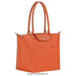 морков Жени зелена чанта le pliage чанти Longchamp 6084PZ407 - Image 3