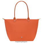 морков Жени зелена чанта le pliage чанти Longchamp 6084PZ407 - Image 4
