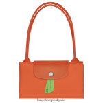 морков Жени зелена чанта le pliage чанти Longchamp 6084PZ413 - Image 5