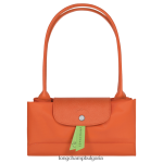 морков Жени зелена чанта le pliage чанти Longchamp 6084PZ407 - Image 6
