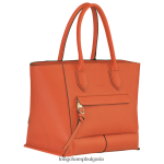 морков Жени чанта за пощенска кутия чанти Longchamp 6084PZ174 - Image 2