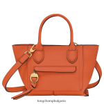 морков Жени чанта за пощенска кутия чанти Longchamp 6084PZ166