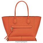 морков Жени чанта за пощенска кутия чанти Longchamp 6084PZ174