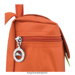 морков Жени le pliage зелена раница чанти Longchamp 6084PZ439 - Image 4