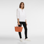 морков Жени le pliage зелена чанта чанти Longchamp 6084PZ41 - Image 2