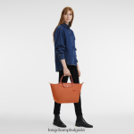 морков Жени le pliage зелена чанта чанти Longchamp 6084PZ196 - Image 2