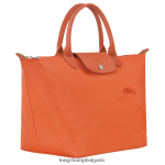 морков Жени le pliage зелена чанта чанти Longchamp 6084PZ196 - Image 3