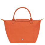 морков Жени le pliage зелена чанта чанти Longchamp 6084PZ41 - Image 4