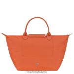 морков Жени le pliage зелена чанта чанти Longchamp 6084PZ196 - Image 4