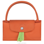 морков Жени le pliage зелена чанта чанти Longchamp 6084PZ41 - Image 6