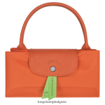 морков Жени le pliage зелена чанта чанти Longchamp 6084PZ196 - Image 6