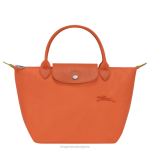 морков Жени le pliage зелена чанта чанти Longchamp 6084PZ41