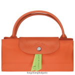 морков мъже зелена пътна чанта le pliage чанти Longchamp 6084PZ798 - Image 5