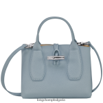 облачно синьо Жени розова чанта чанти Longchamp 6084PZ115