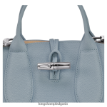 облачно синьо Жени розова чанта чанти Longchamp 6084PZ115 - Image 7