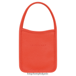 оранжево Жени le foulonne чанта чанти Longchamp 6084PZ129