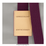 сиво Жени чанта le pliage re-play чанти Longchamp 6084PZ54 - Image 5