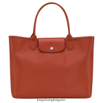 теракота Жени градска чанта le pliage чанти Longchamp 6084PZ85