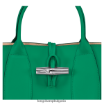 трева/зелена светлина Жени розова чанта чанти Longchamp 6084PZ98 - Image 7