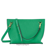 трева/зелена светлина Жени чанта през рамо за пощенска кутия чанти Longchamp 6084PZ310 - Image 4