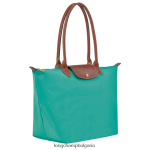 тюркоаз Жени оригинална чанта le pliage чанти Longchamp 6084PZ418 - Image 3