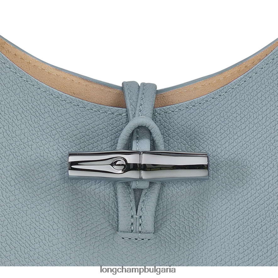 облачно синьо Жени розова скитник чанта чанти Longchamp 6084PZ379