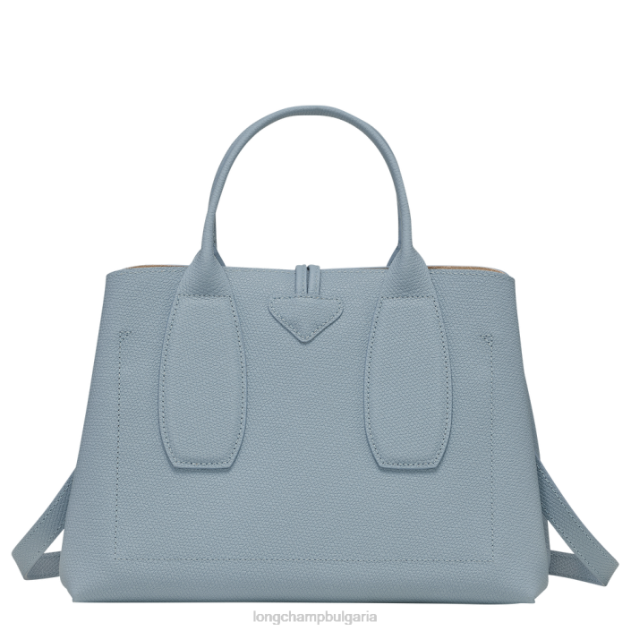 облачно синьо Жени розова чанта чанти Longchamp 6084PZ107
