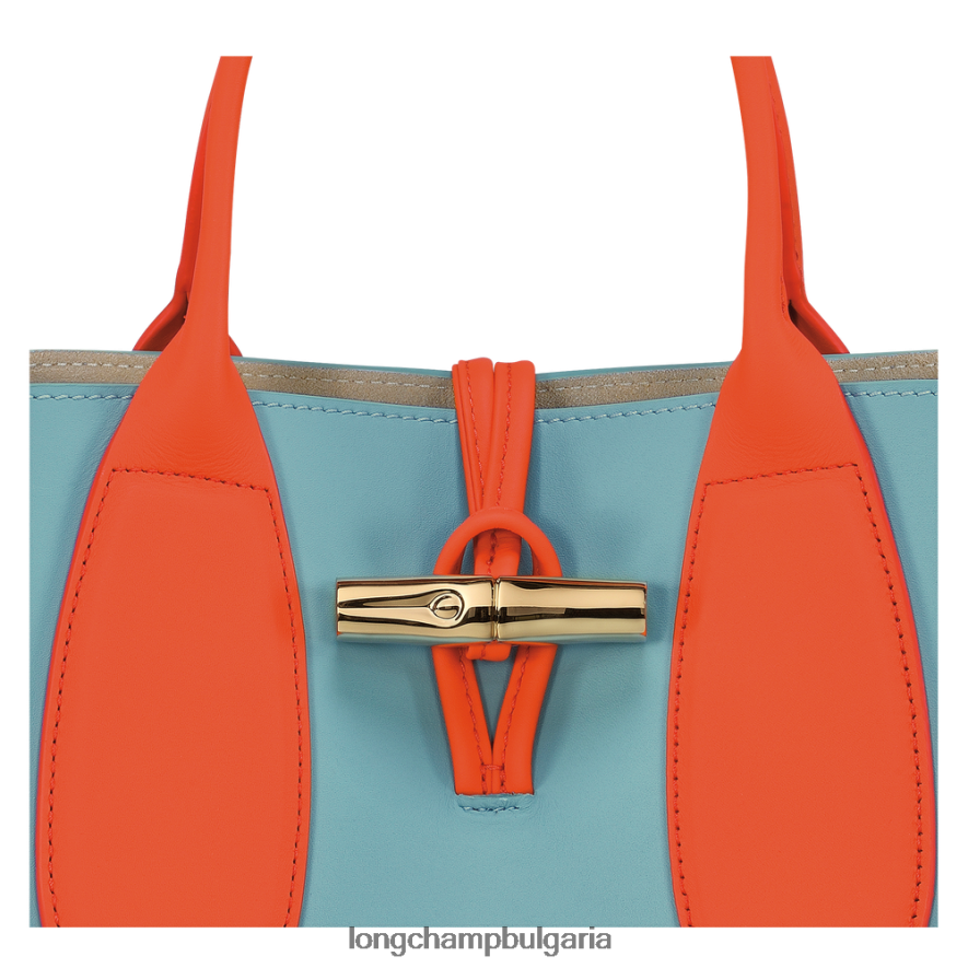 многоцветен Жени розова чанта чанти Longchamp 6084PZ96